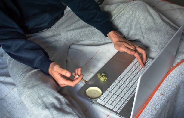 What is the influence of sustainability practices on cannabis cultivation?