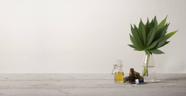 What is driving innovation in cannabis product development?